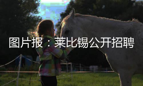 招聘va毛片然而