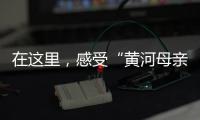 在这里，感受“黄河母亲”的大爱