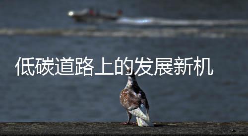 面对未来低碳的新机发展趋势