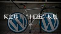 何立峰：“十四五”规划纲要草案指标就像“奋力一跳可以摘到的树上的桃子”