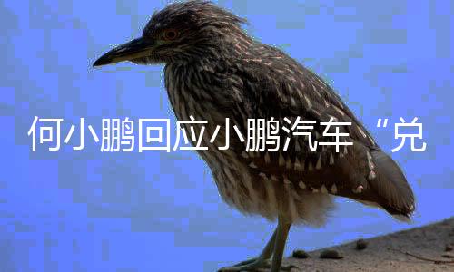 加速产业链资金周转效率