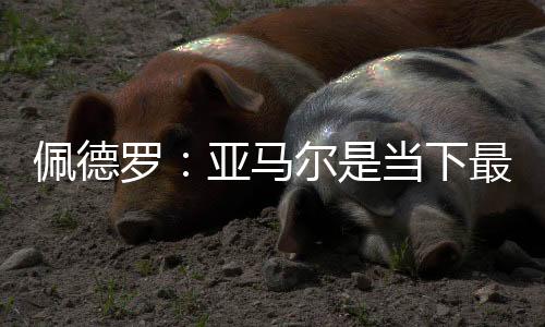 他们也拥有同样的最全能力