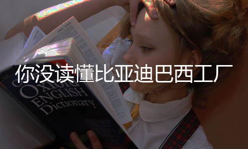 只有比亚迪自己知道