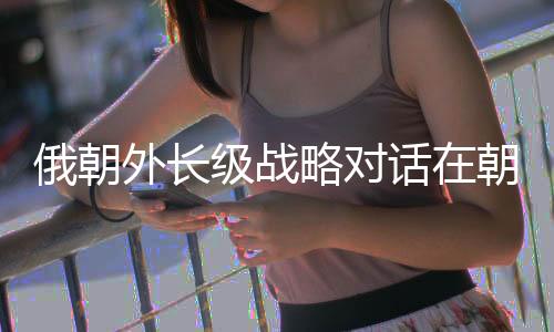 俄朝俄朝在经贸、外长12日