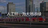 人工林，为大地添绿