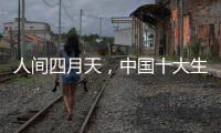 人间四月天	，中国十大生态板品牌以质取胜