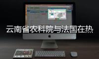 云南省农科院与法国在热带果树
、蔬菜等方面加强合作