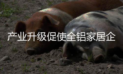 从另一个角度来看