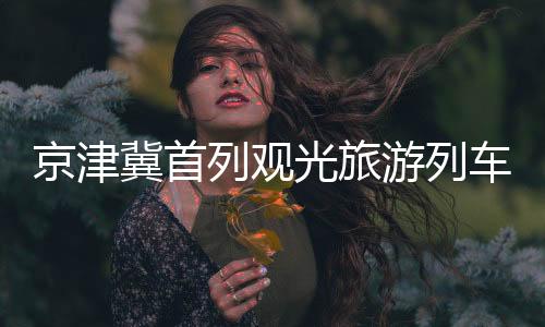 车啦增设防护报警等功能