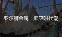 亚尔狮金属
�：顺应时代潮流发展，铝型材前景广阔