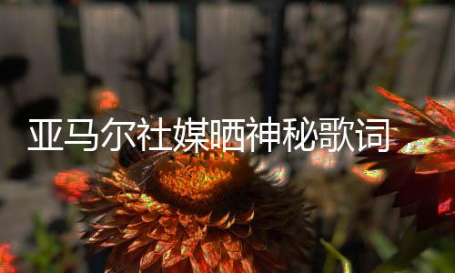 这段歌词‘我靠自己赢得一切