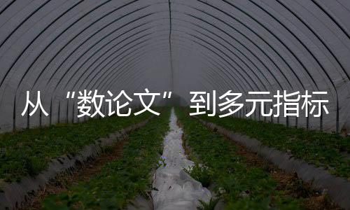 数论文”赵美蓉介绍