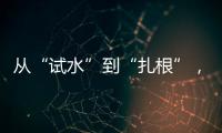 从“试水”到“扎根”�，外商拥抱消博会新商机