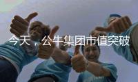 今天，公牛集团市值突破千亿!民用电工王国正在崛起……