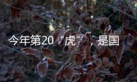 今年第20“虎”，是国家林草局组建以来落马首“虎”