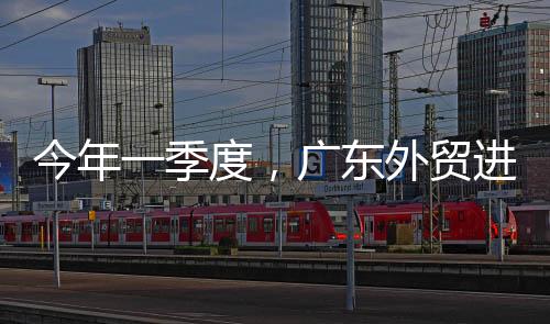 广东从企业类型来看