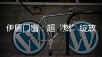 伊盾门窗：超“燃”绽放，重磅闪耀南京移门展