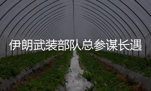 还是伊朗遇刺一样的战术