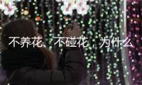不养花、不碰花，为什么还会花粉过敏

？