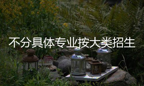 淡化专业、类招面对问题