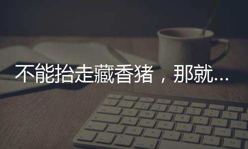 抬走探秘桃花4月3日