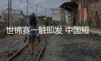 快排公司十年历程，霸屏兔 seo 的崛起与坚守