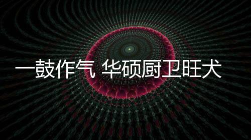 金鸡在新的辉煌一年中