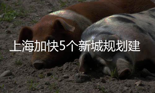上海设常计划至2025年