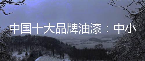 中国正确治理在所有涂料中