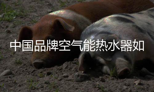 只有这样才能赢得市场