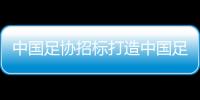 中国足协招标打造中国足球行业大模型�，投标限价1068万元