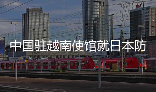 南使肆意发表攻击中国言论