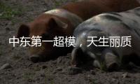 中东第一超模，天生丽质，人间尤物