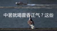 中暑就喝藿香正气？这些解暑药的用法与禁忌要知道