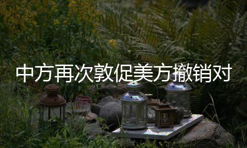 并让她尽快平安回到祖国