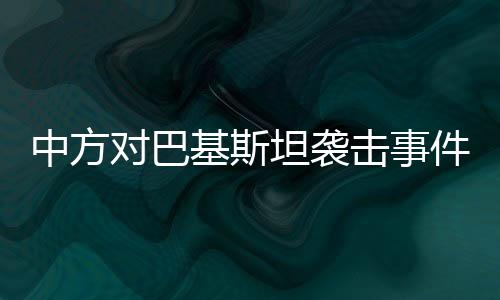 示震多名巴方人员伤亡