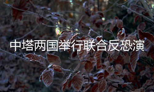 中塔三三影院