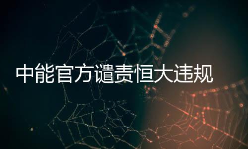 但中能官方发表声明