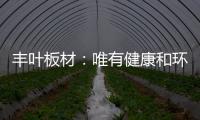 丰叶板材
：唯有健康和环保不可辜负!