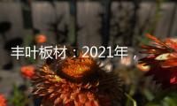 丰叶板材：2021年
，我们想要这样!