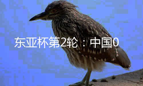 杯第中国队积 0 分排名第三