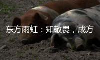 东方雨虹：知敬畏�，成方圆