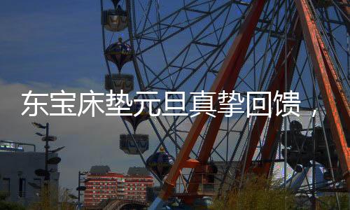 找到抽奖助手的东宝入口