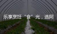 乐享烹饪“食”光，选阿诗丹顿灶具A325B