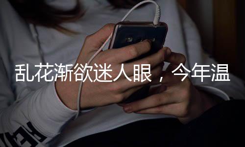 迷人四盘之后晋级次轮