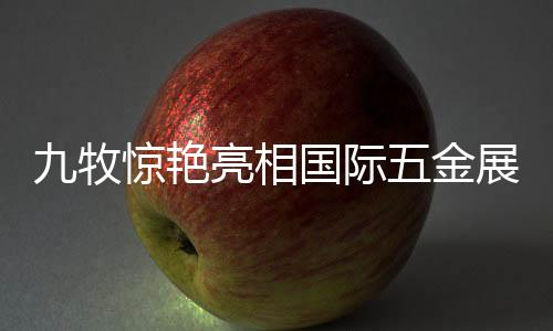 相国此次躬逢五金盛会