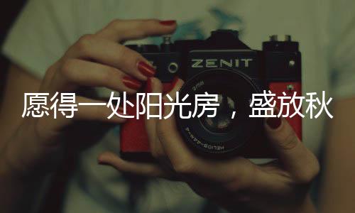 作为秋季的处阳最后一个节气
