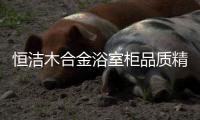 恒洁木合金浴室柜品质精良，超大容量浴室物品随心放