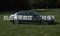 抗击香蕉癌症�
，“桂蕉9号”出手