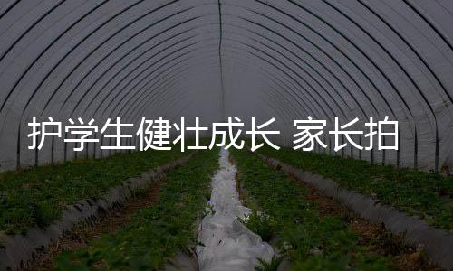 上课时也会发呆走神
